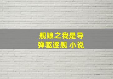 舰娘之我是导弹驱逐舰 小说